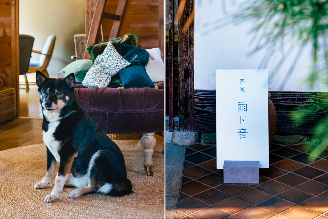 喧噪から遠く離れた築50年の古民家ティールーム。平塚「茶室 雨ト音」_1850998