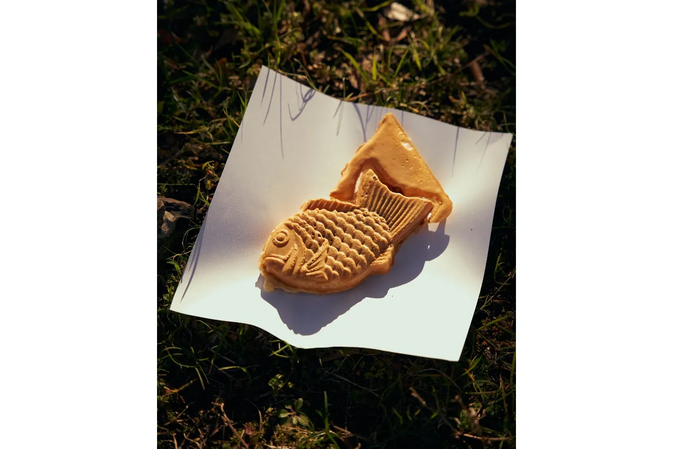 【誌面未掲載作品をご紹介！】Z視点で切り取るNEW/OLD TOKYO　ケイル イシガミさん_1415687