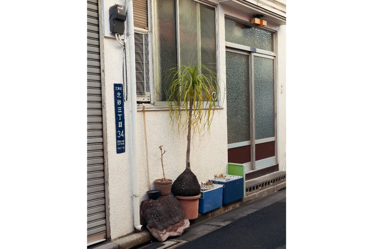 【誌面未掲載作品をご紹介！】Z視点で切り取るNEW/OLD TOKYO　ケイル イシガミさん_1415688