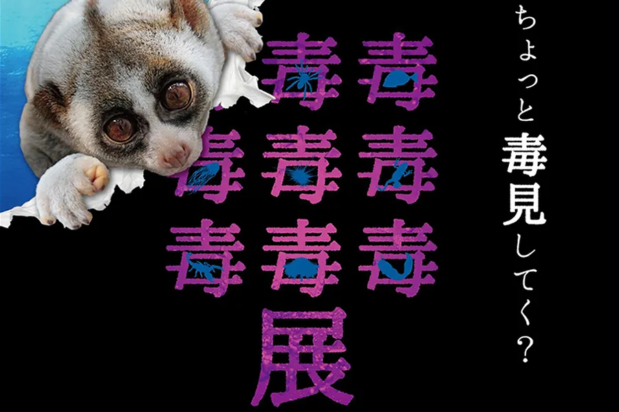 「毒毒毒毒毒毒毒毒毒展」inみなとみらい開催！　あの“毒を持つ生き物”の特別展が再登場！
