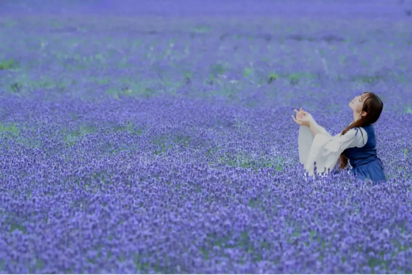 【2026】関東「夏の花畑」5選！見ごろやイベント情報も紹介_3909114