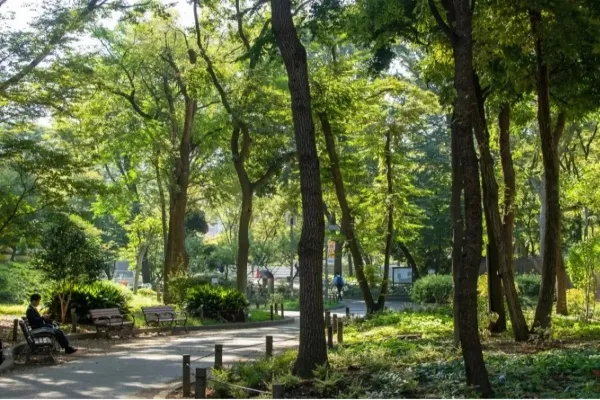 【新宿】早朝の時間つぶしに最適なスポット5選！一人での朝活や早朝便にも◎