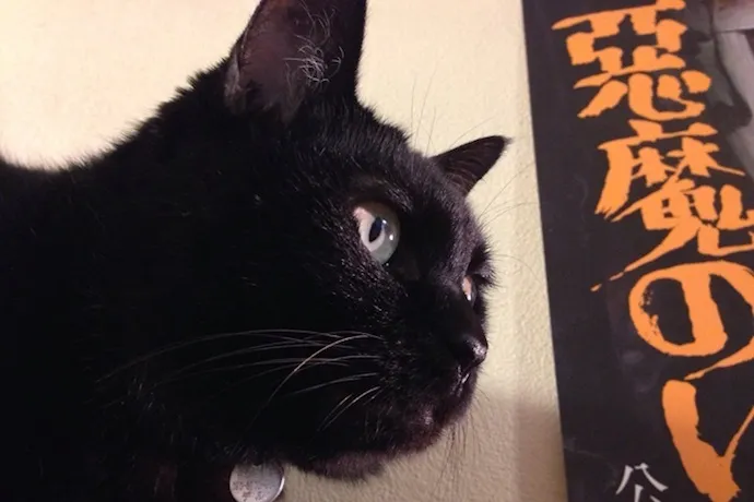 黒猫と、吉祥寺のアンダーグラウンドな古本屋。この組合せもう完璧！
