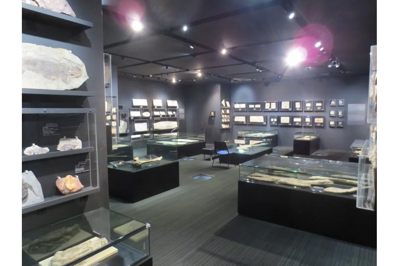 無料で楽しめる！東京都内のギャラリー8選_3072918