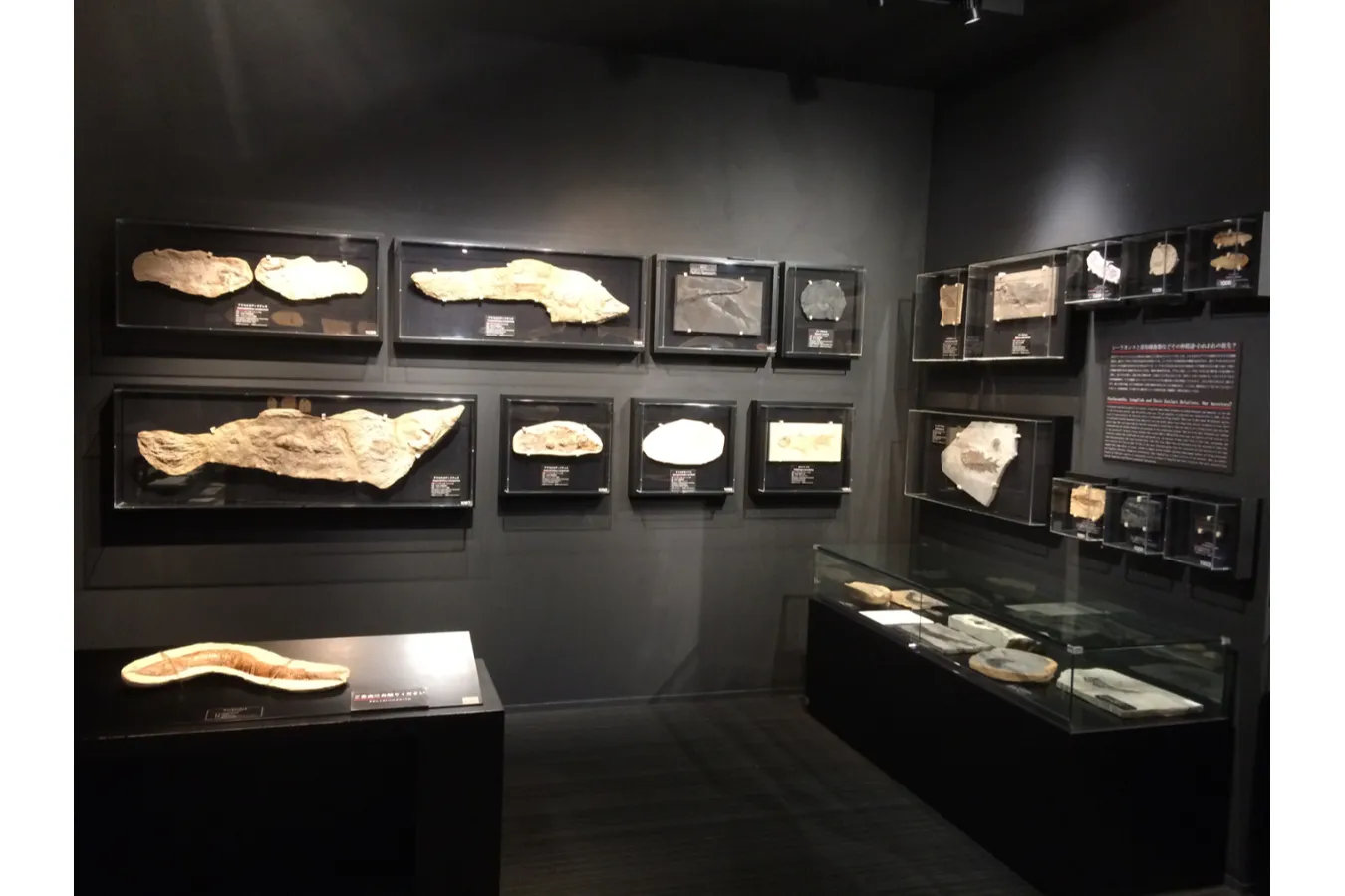 無料で楽しめる！東京都内のギャラリー8選_3072919