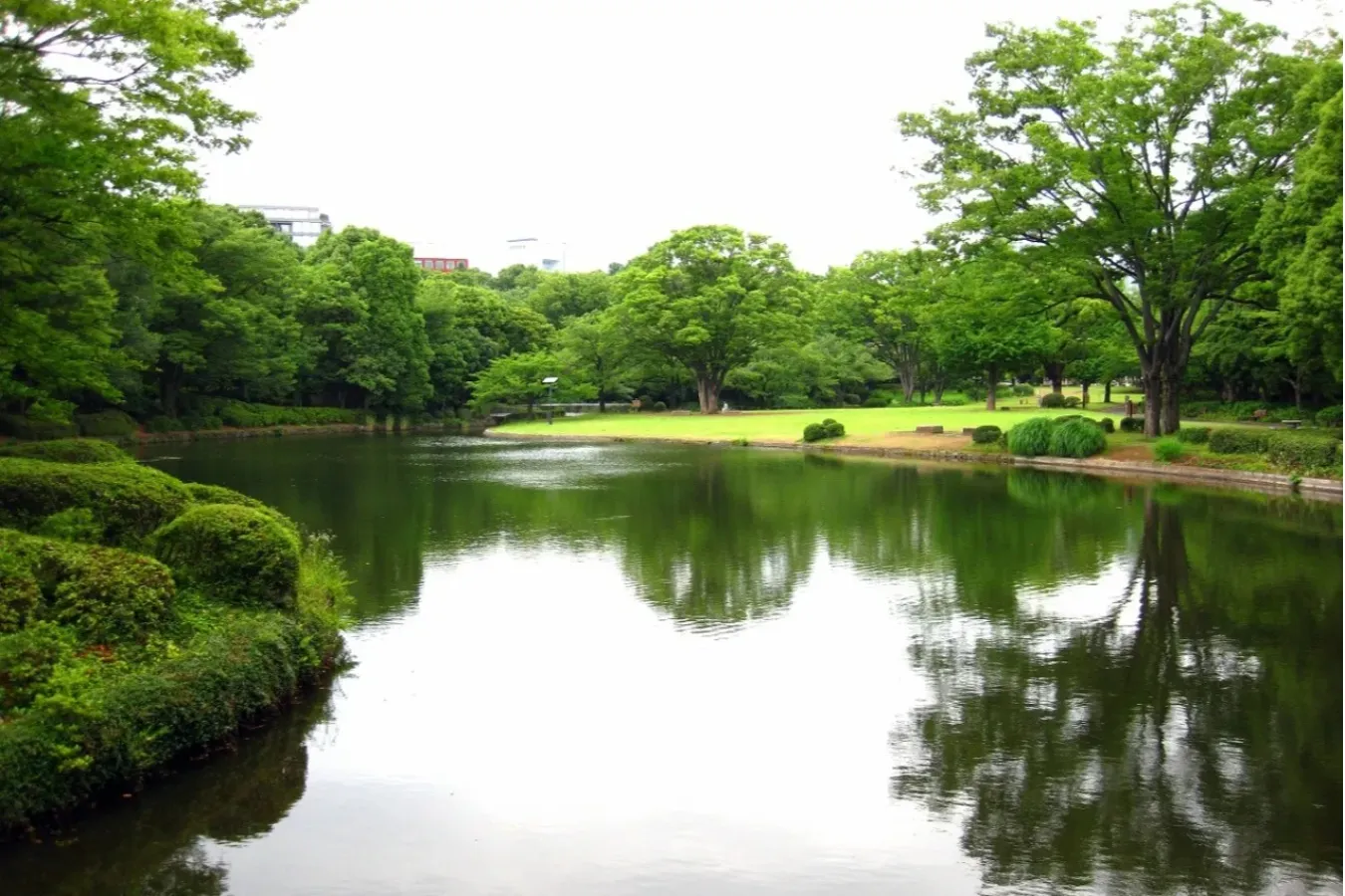 ▲中の池　出典：環境省ホームページ（https://www.env.go.jp/garden/kokyogaien/5_album/1/b01/index.html）