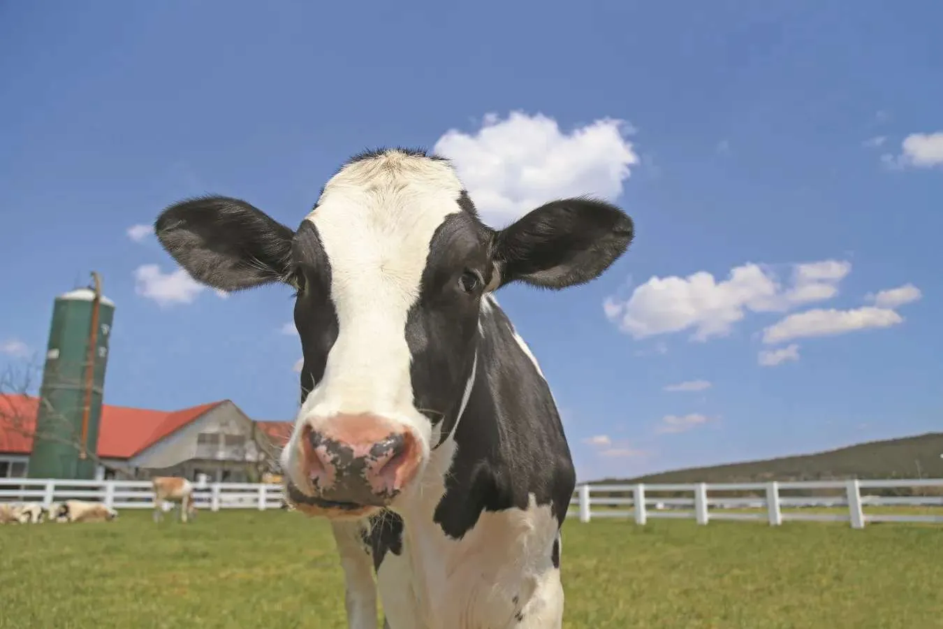 【関東】恋人と行きたい！日帰りデートスポット20選_2402633