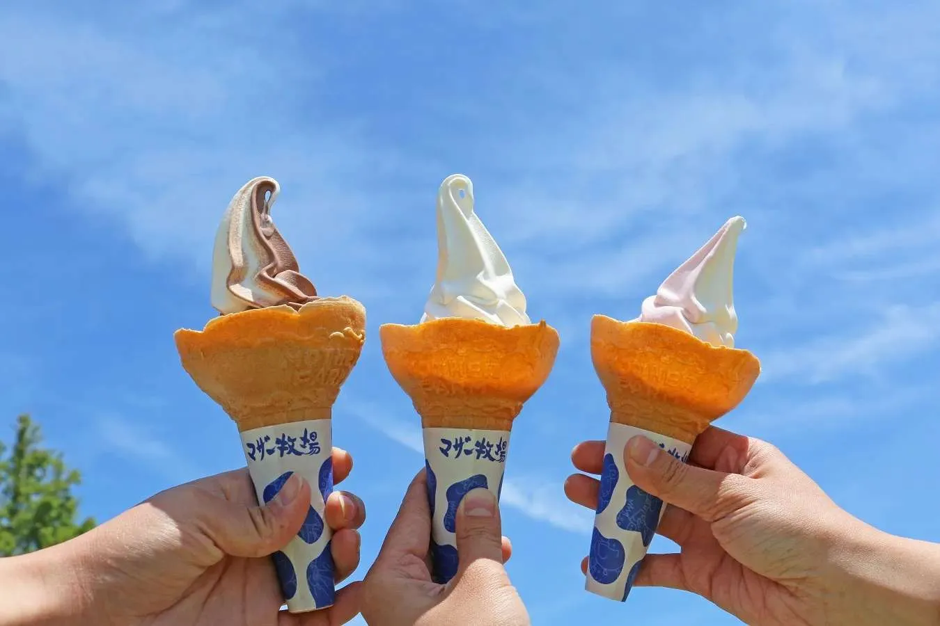 【関東】恋人と行きたい！日帰りデートスポット20選_2402634