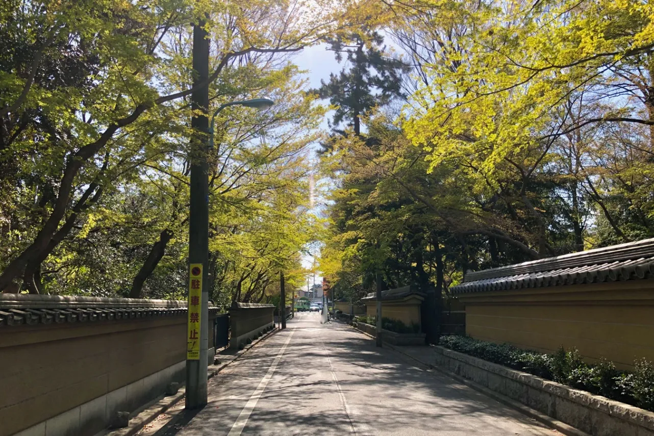 四季折々の自然を満喫。今川家ゆかりの寺院、上井草「宝珠山 観泉寺」内の日本庭園へ_1580698