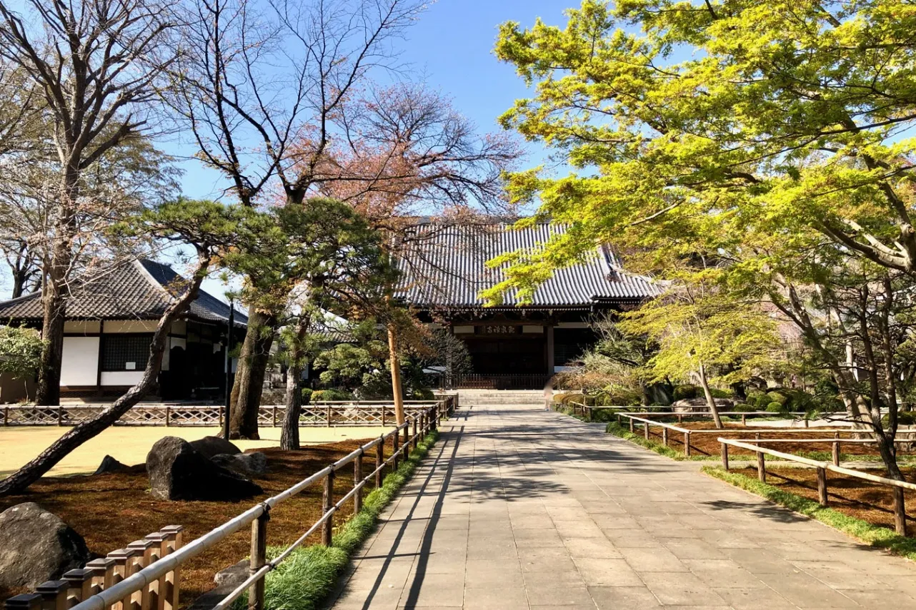 四季折々の自然を満喫。今川家ゆかりの寺院、上井草「宝珠山 観泉寺」内の日本庭園へ_1580699