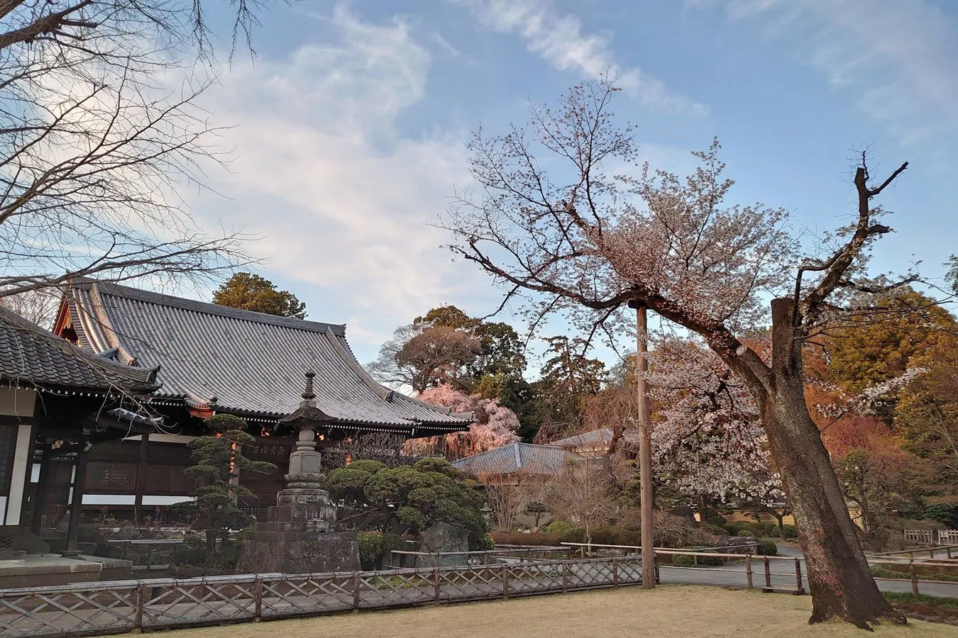 ▲写真提供：観泉寺