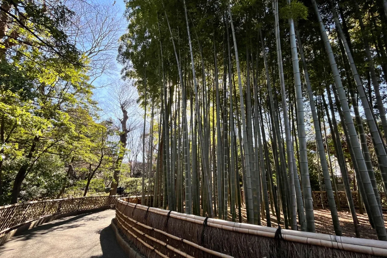 四季折々の自然を満喫。今川家ゆかりの寺院、上井草「宝珠山 観泉寺」内の日本庭園へ_1580704