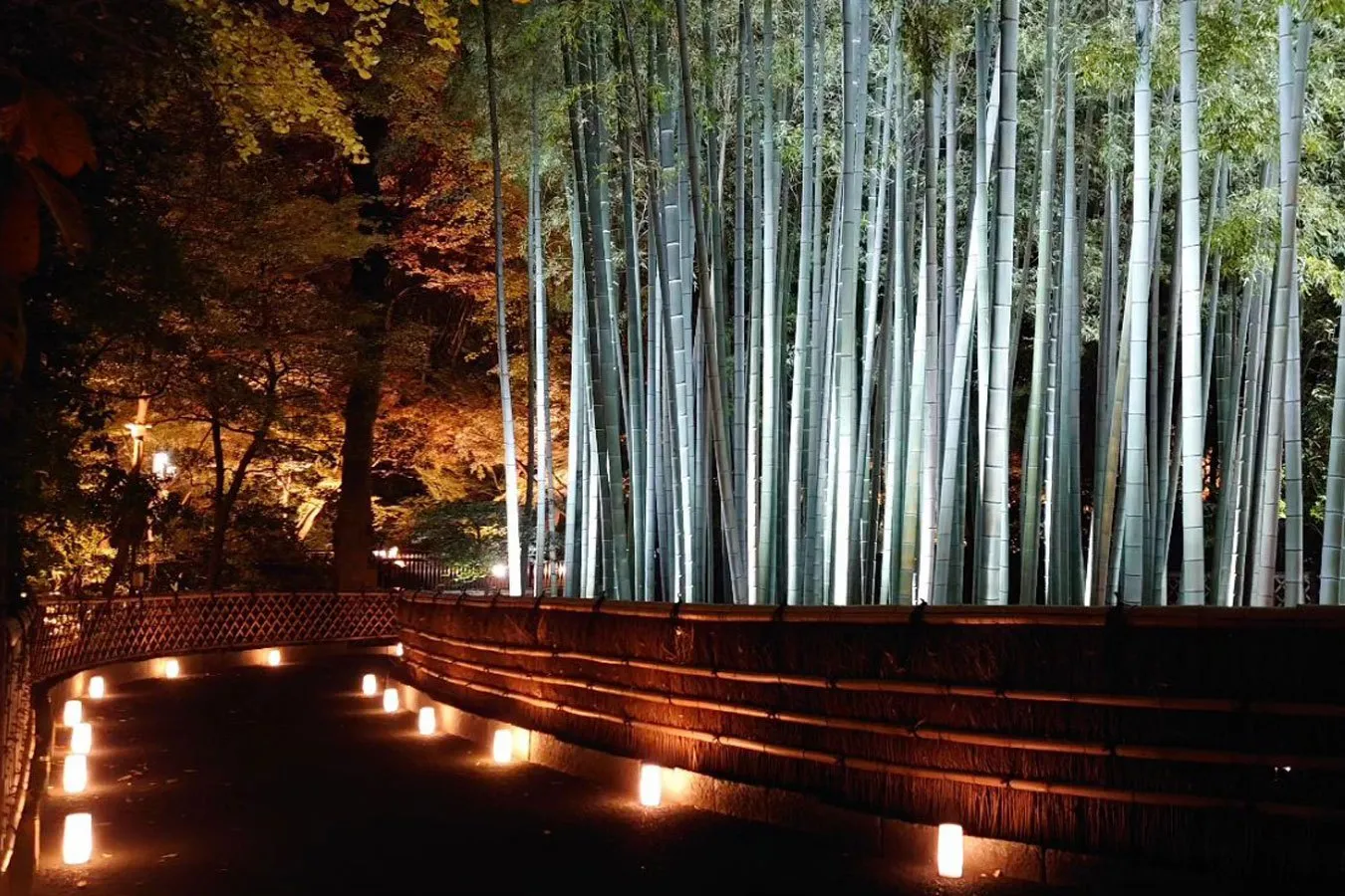 ▲写真提供:観泉寺