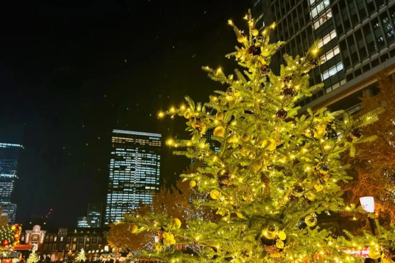 ▲「行幸通り」会場にあるクリスマスツリー（撮影：レッツエンジョイ東京編集部）