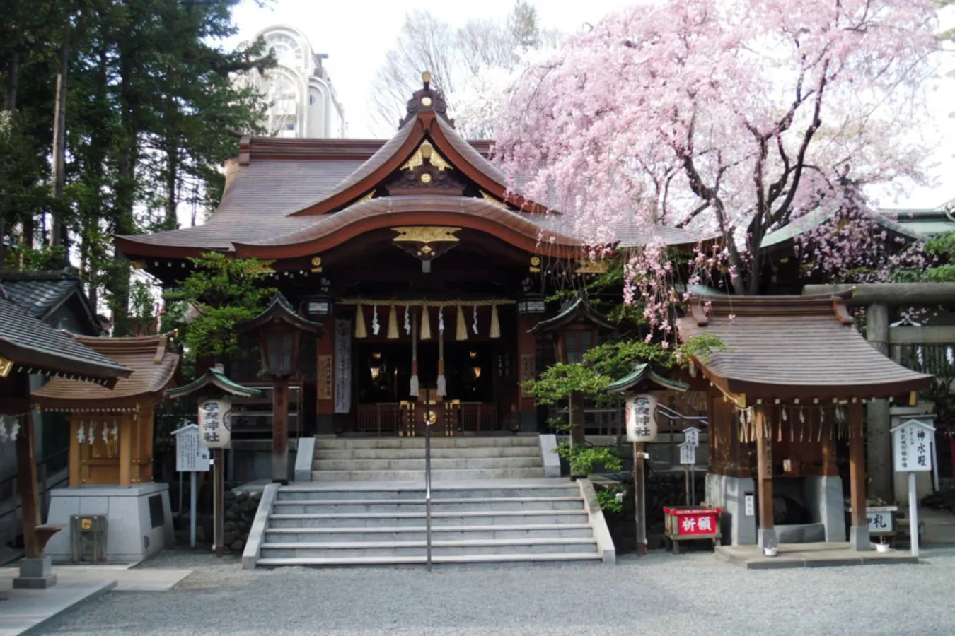【東京】初詣におすすめ!カップルで行きたい「縁結び」神社4選_2211074