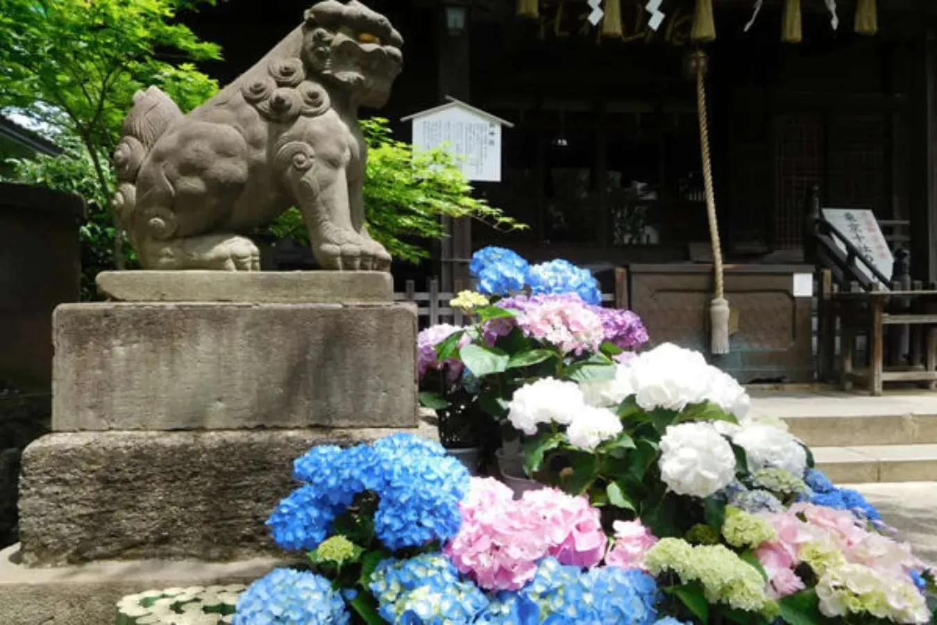 ▲写真提供:文京区