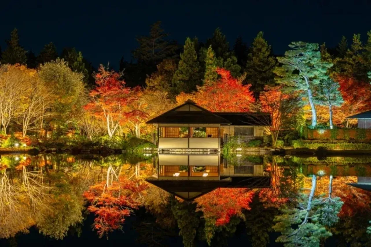 ▲日本庭園ライトアップ