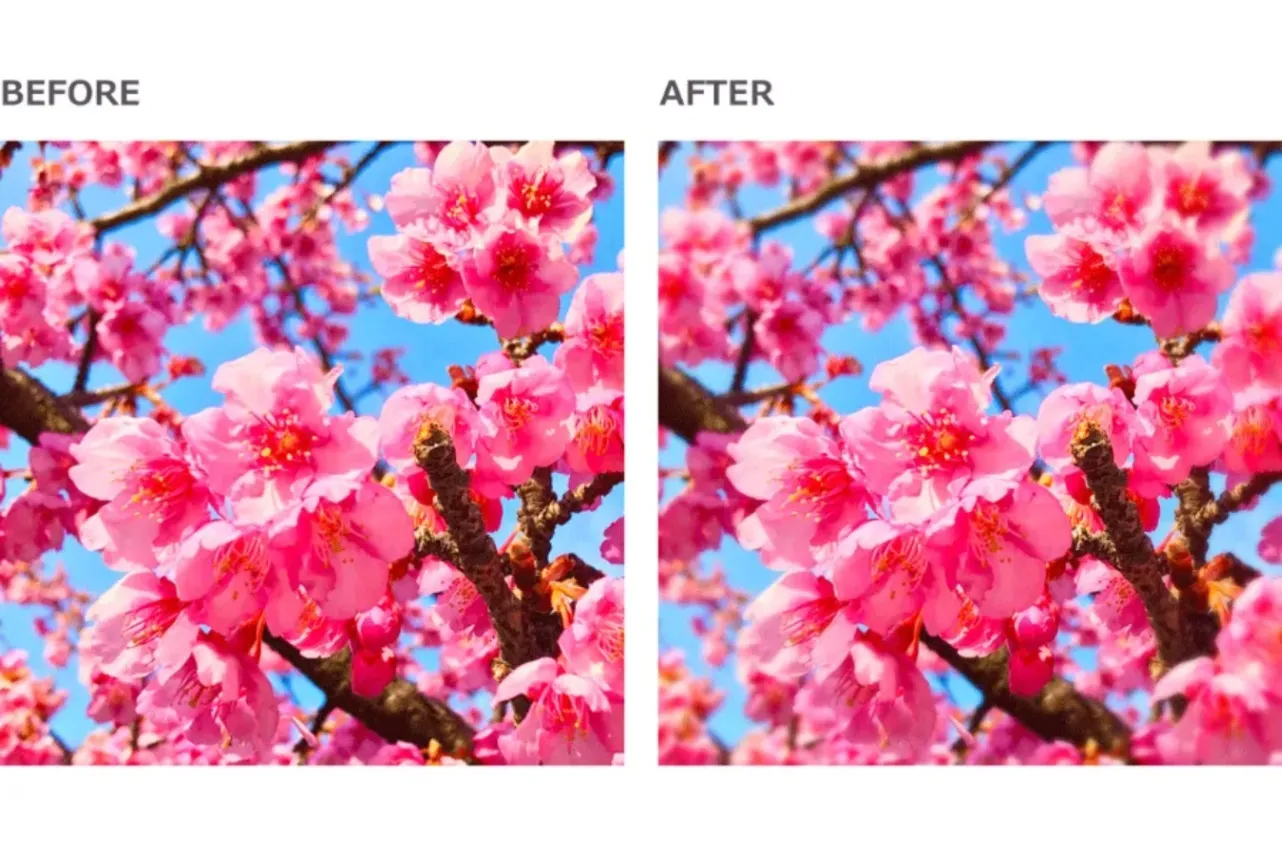 【お花見・SNS映え】スマホで簡単・キレイに桜の写真を撮るコツ_3379155
