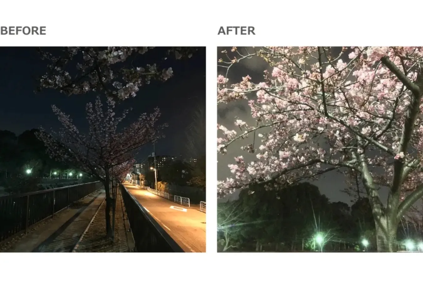 【お花見・SNS映え】スマホで簡単・キレイに桜の写真を撮るコツ_3379158