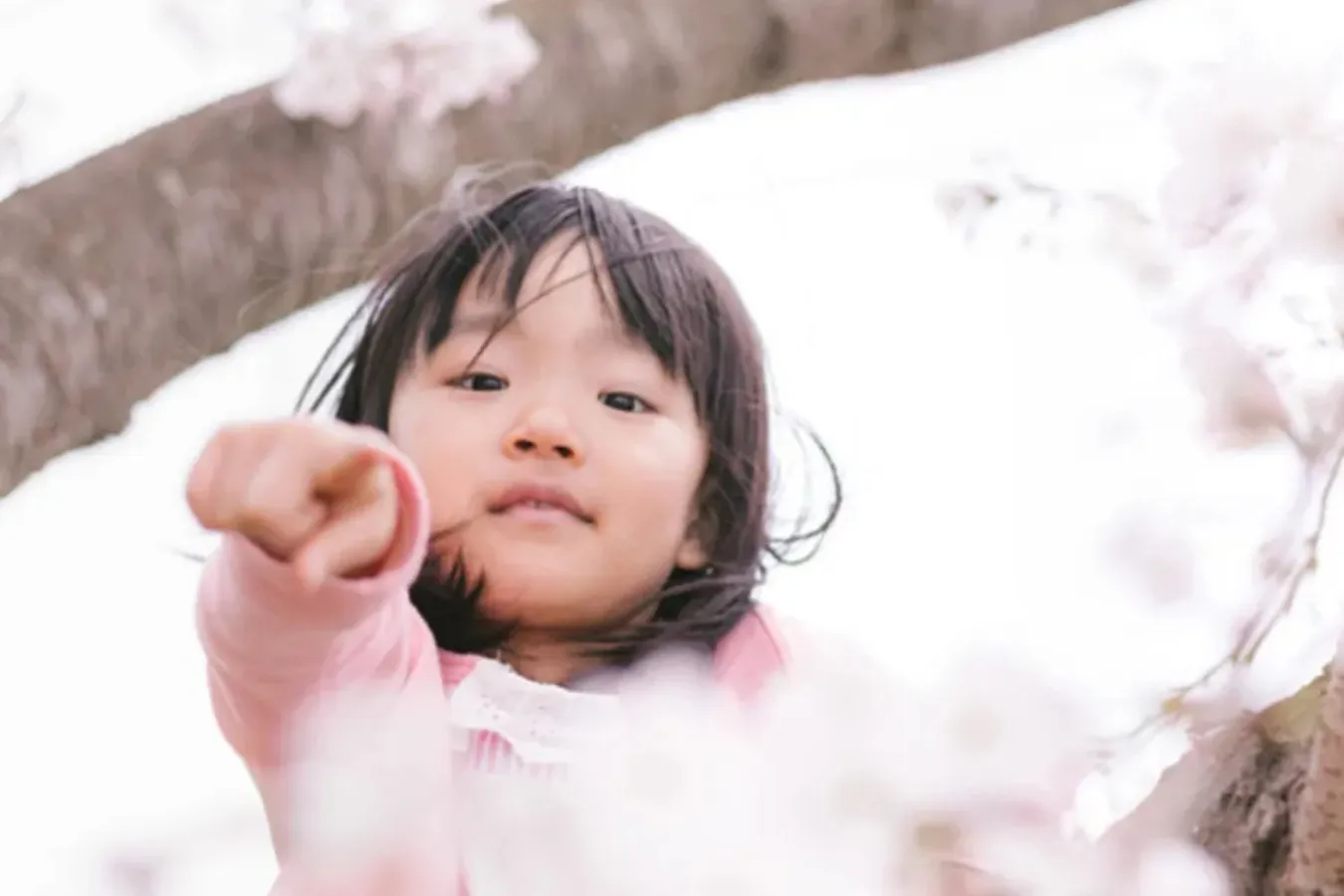 【お花見・SNS映え】スマホで簡単・キレイに桜の写真を撮るコツ_3379161