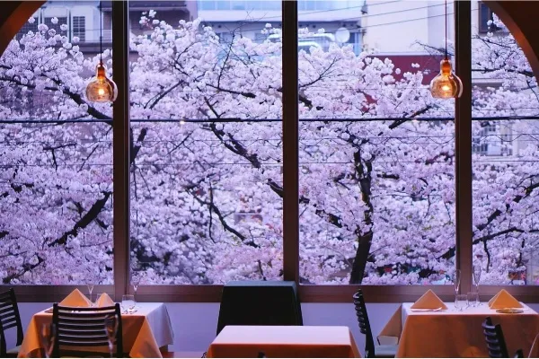 【東京】優雅に花見デートができる！桜が見えるレストランまとめ