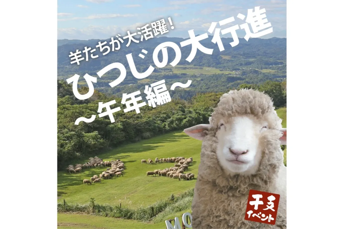 ▲マザー牧場「羊の大行進～午年編～」