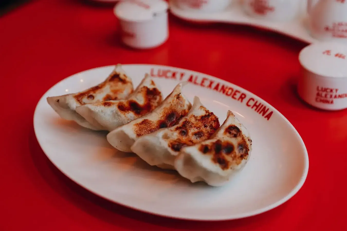 ▲ジュワッと肉汁溢れる餃子は、一つひとつ手包みした“もっちり系”。全3種（豚肉・豚肉生姜・子羊肉／5個660円～）酢醤油＆胡麻ダレ。