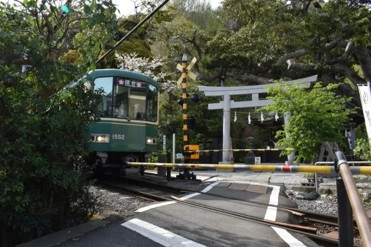 鎌倉デートを満喫！長谷～鎌倉を巡る「一日散歩コース」