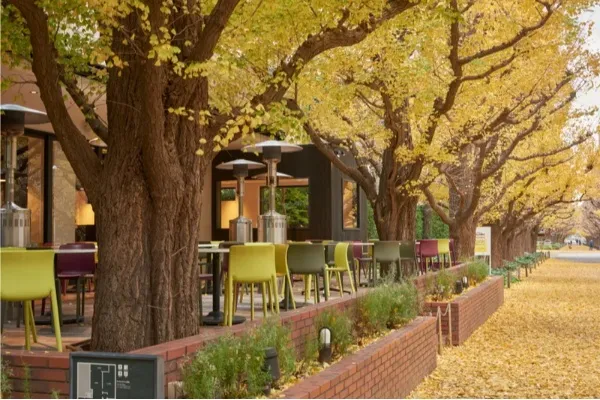 外苑前で立ち寄りたいカフェ3選