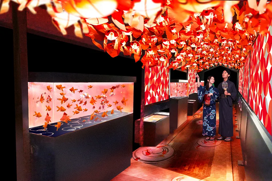 大人カップルの夏デートを格上げ！ 1,000匹の金魚が舞う「東京金魚ワンダーランド」[2017年]