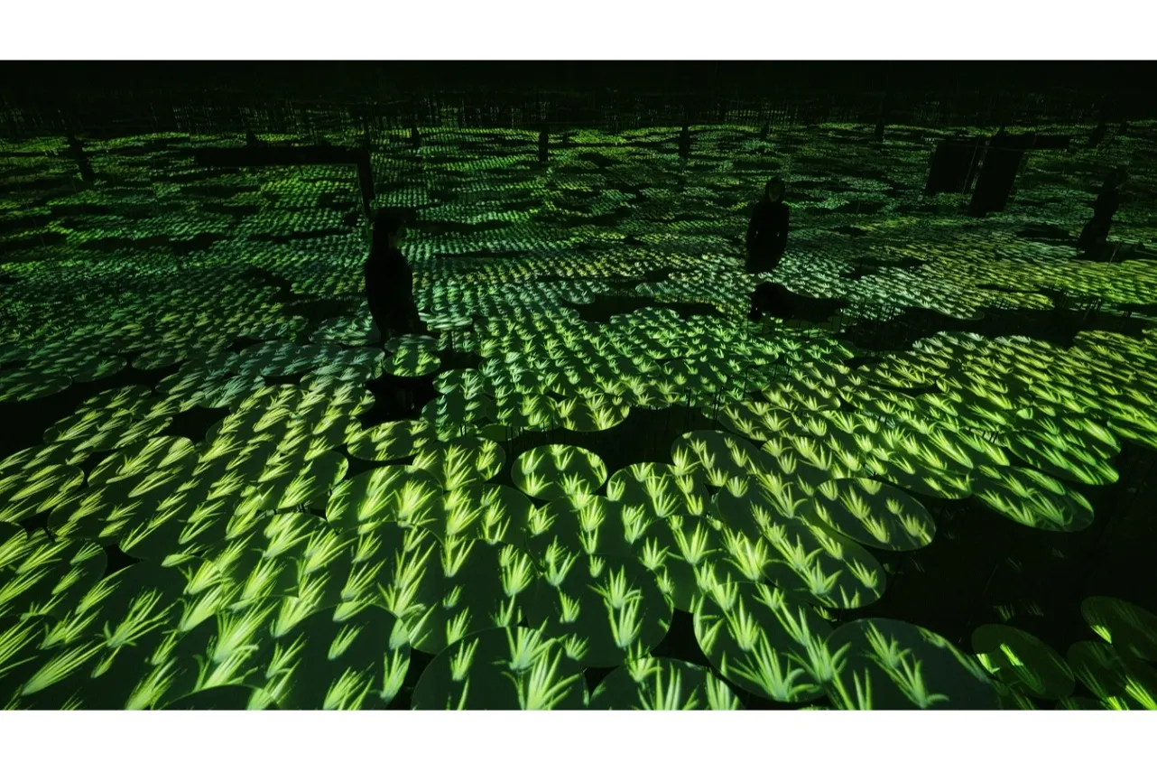 ▲チームラボ《地形の記憶》©チームラボ