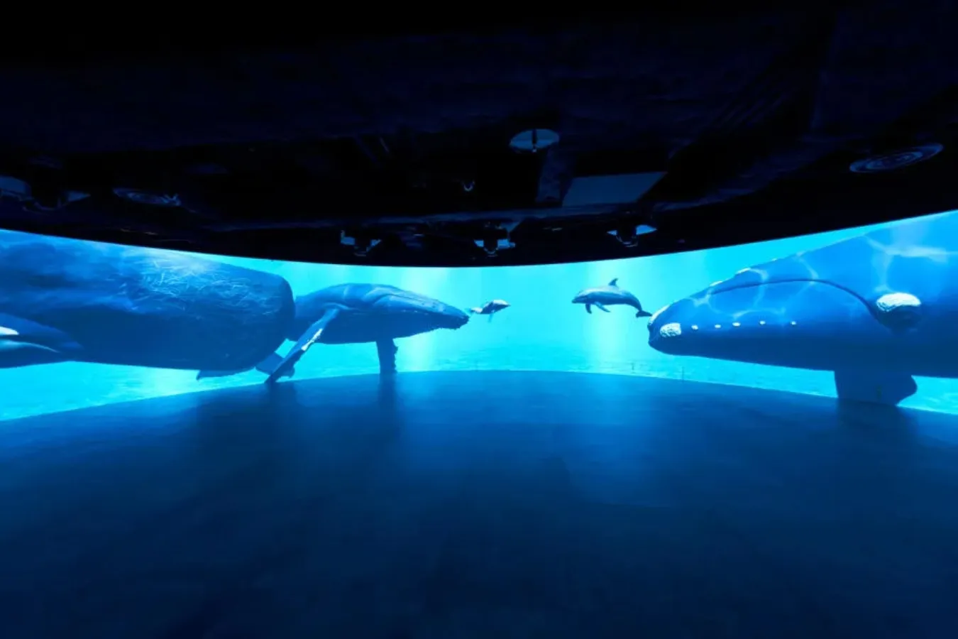 ▲最新の映像技術を駆使した「パノラマスクリーンゾーン」