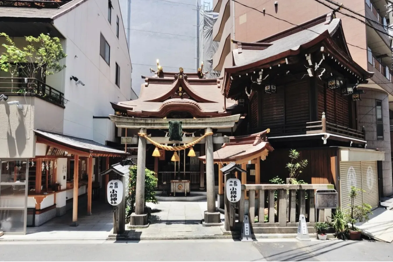 ▲小網神社 全景