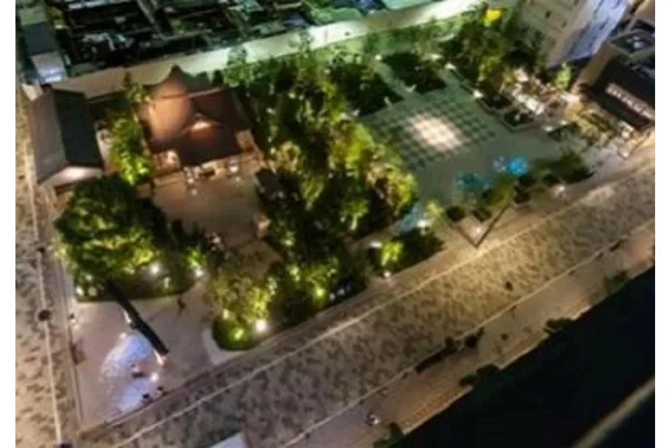 ▲「福徳の森」全体の様子