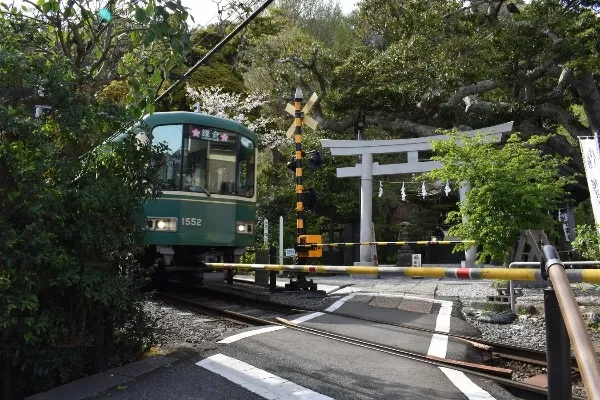 鎌倉デートを満喫！長谷～鎌倉を巡る「一日散歩コース」