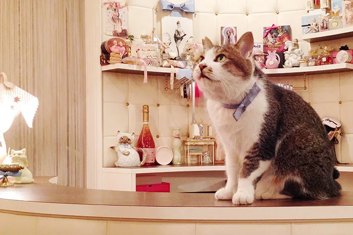 新品　インディアンジュエリー　アコマ　ポッテリー　猫　ネコインディアンジュエリー 保護ネコ支援aoneco お品代10%が保護ネコの食費や治療費につながる