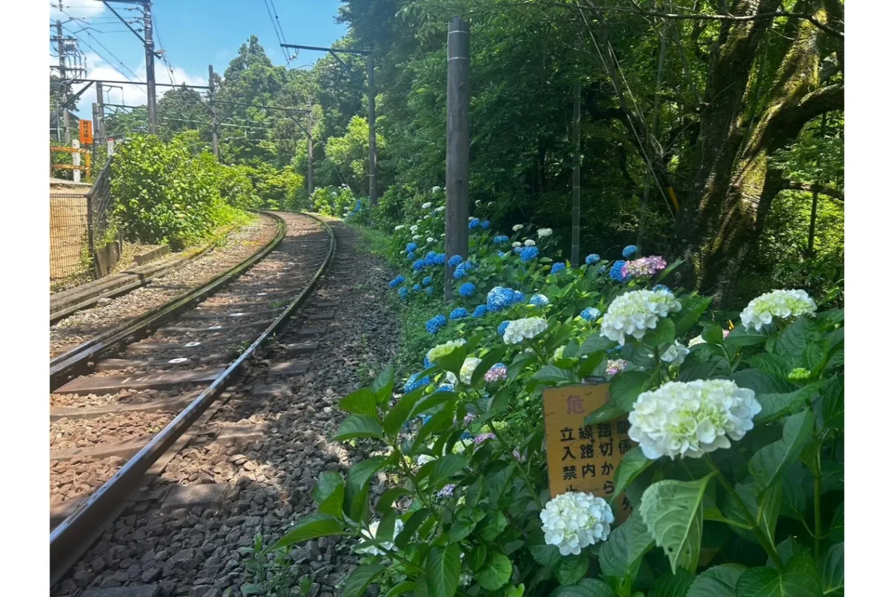 ▲写真提供：箱根DMO（一般財団法人箱根町観光協会）