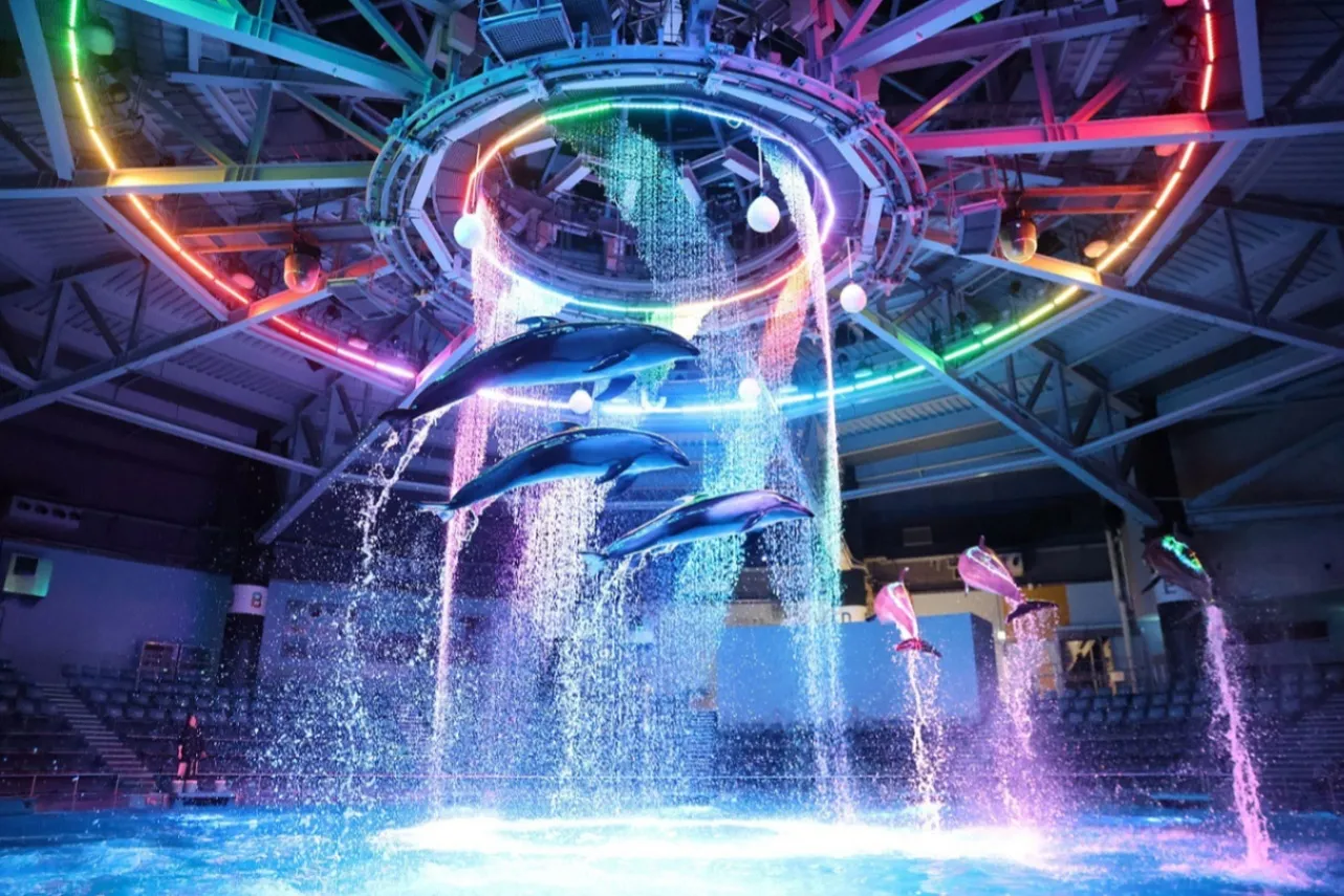 水族館デートにオススメな関東スポット12選_3364597
