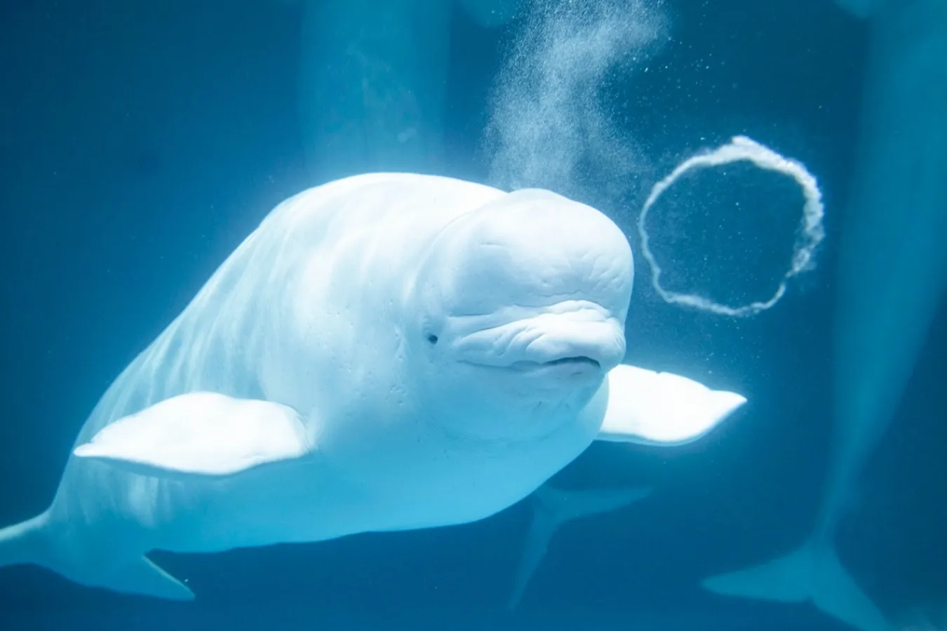 水族館デートにオススメな関東スポット12選_3364608