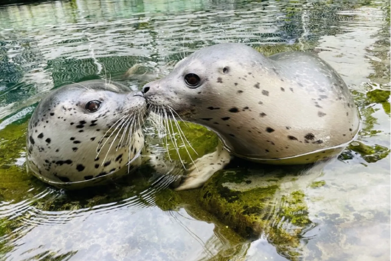 水族館デートにオススメな関東スポット12選_3364616