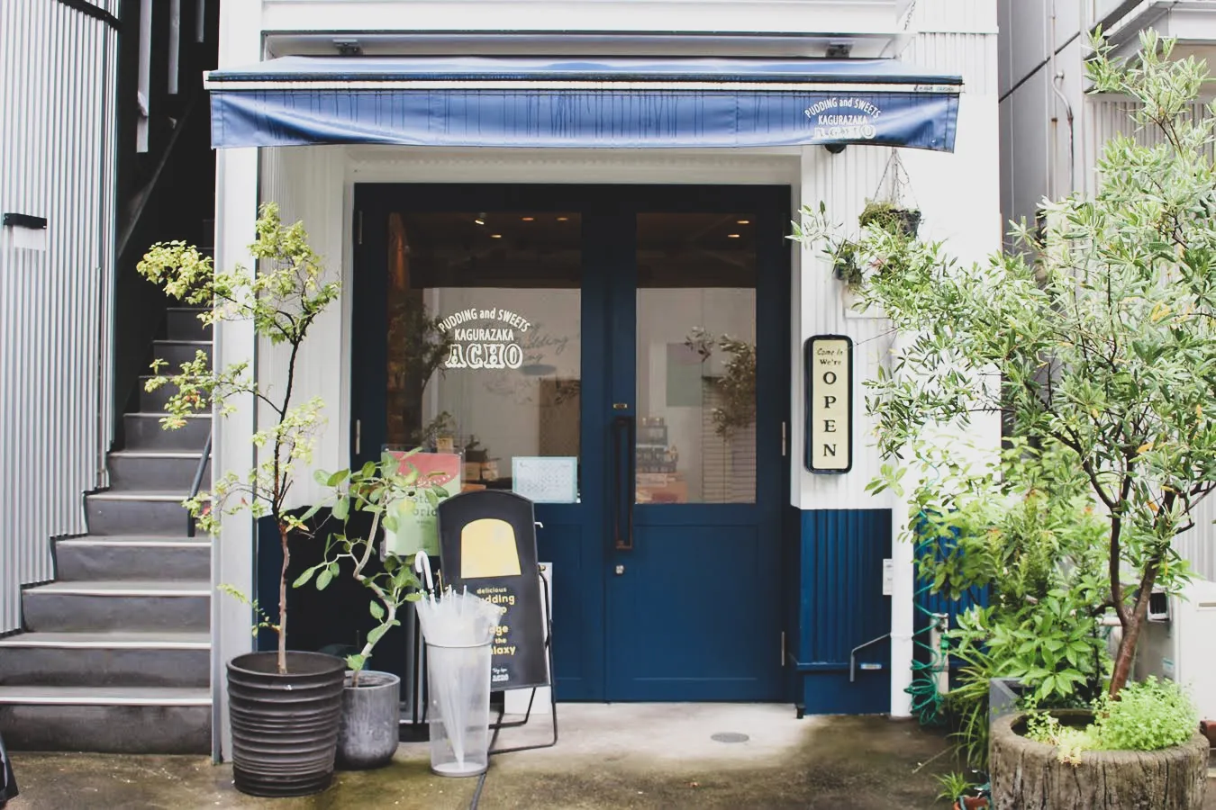 人気ドーナツ店も!神楽坂テイクアウトグルメ5選_1930488