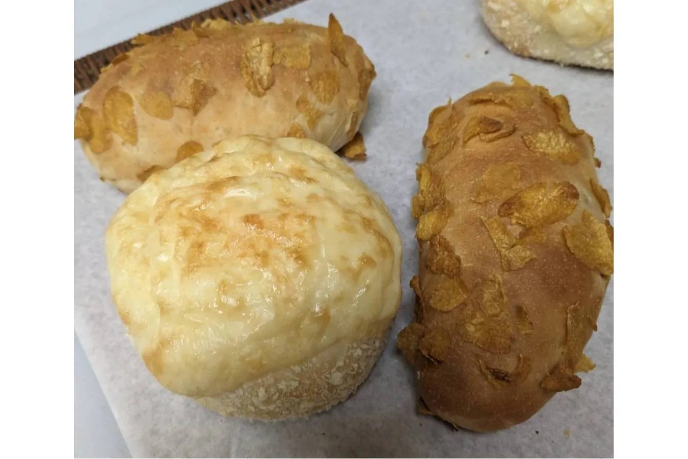 焼きカレーパン専門店「東京スタイルスパイスノトリコ カレーの虎 神田咖喱パン」誕生_2112556