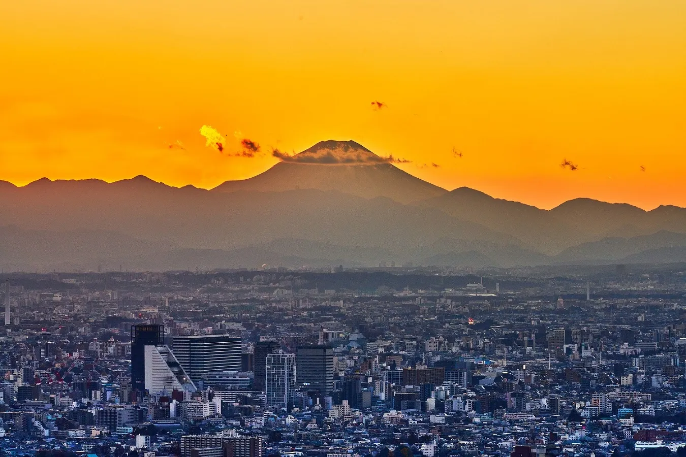 ▲「てんぼうの丘」方面から見ることができる景色（南側）