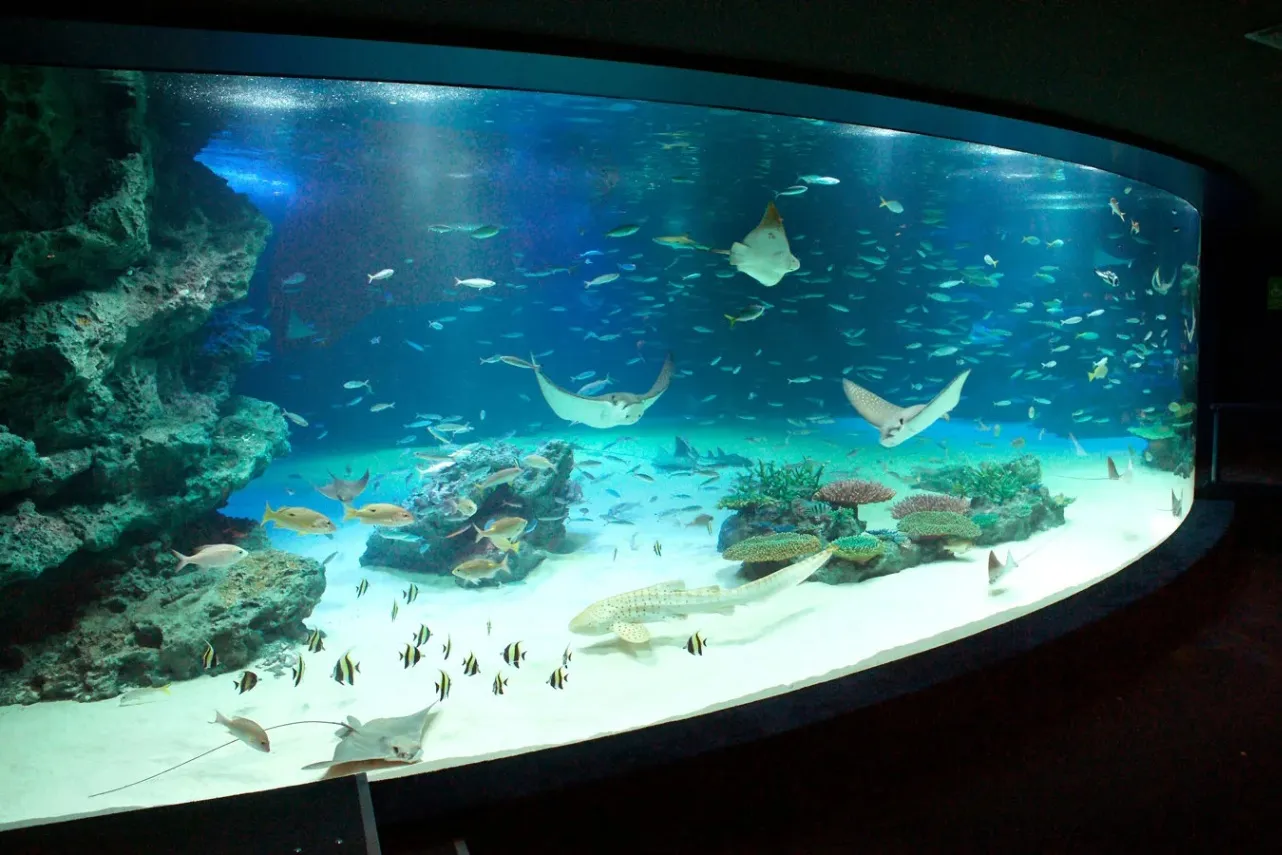 サンシャイン水族館