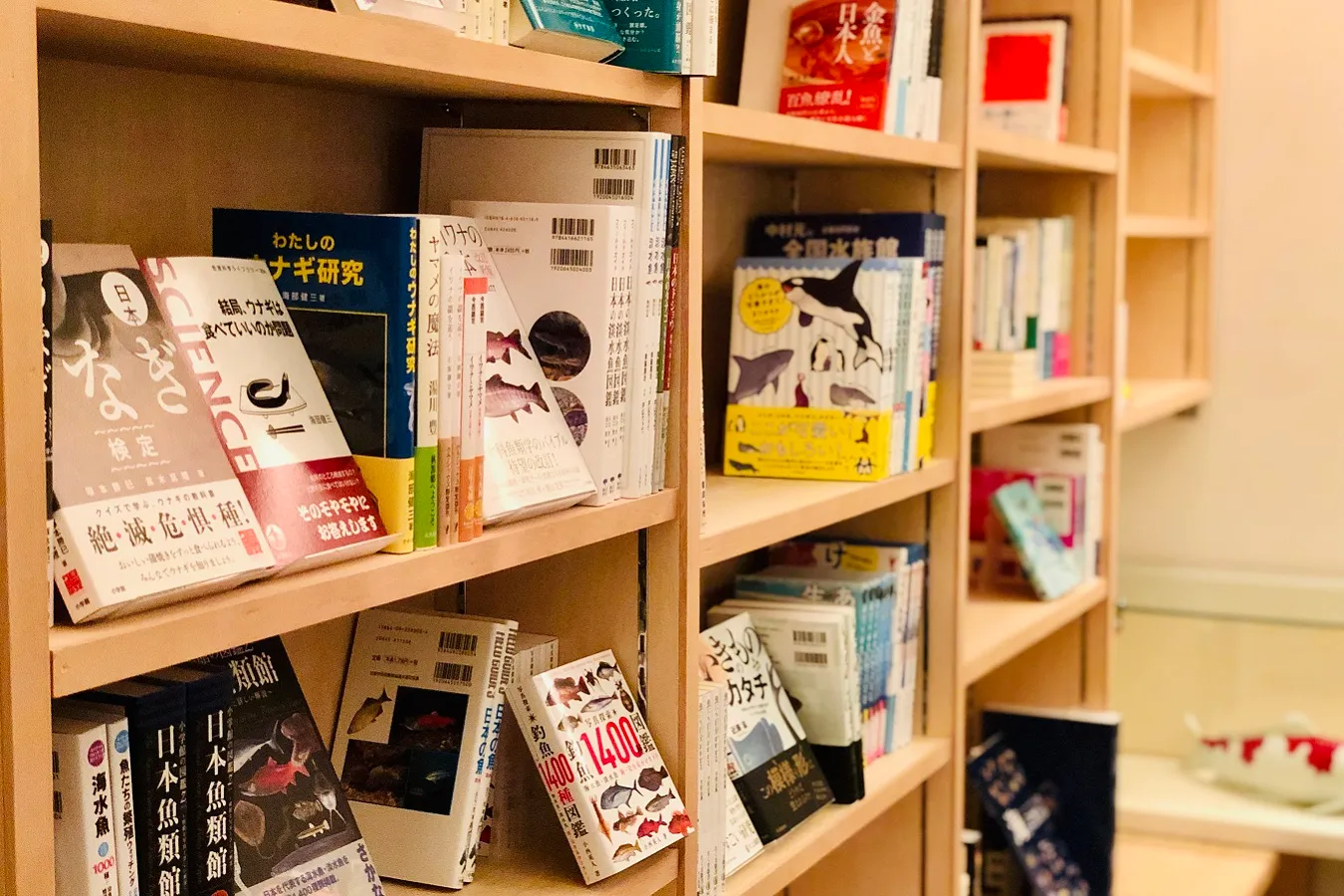 魚に特化した「SAKANA BOOKS」が新宿区にオープン_442787
