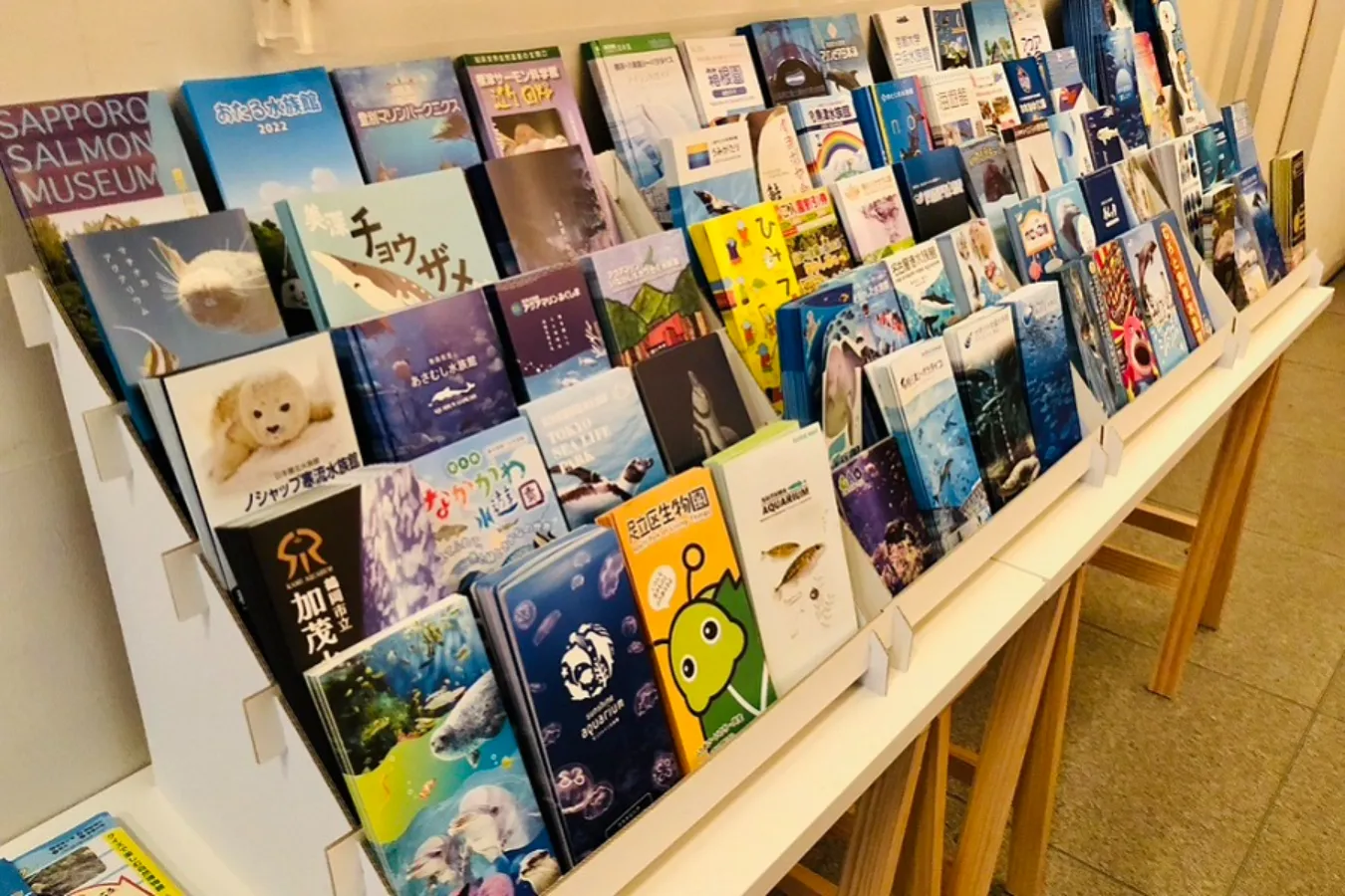 魚に特化した「SAKANA BOOKS」が新宿区にオープン_442788