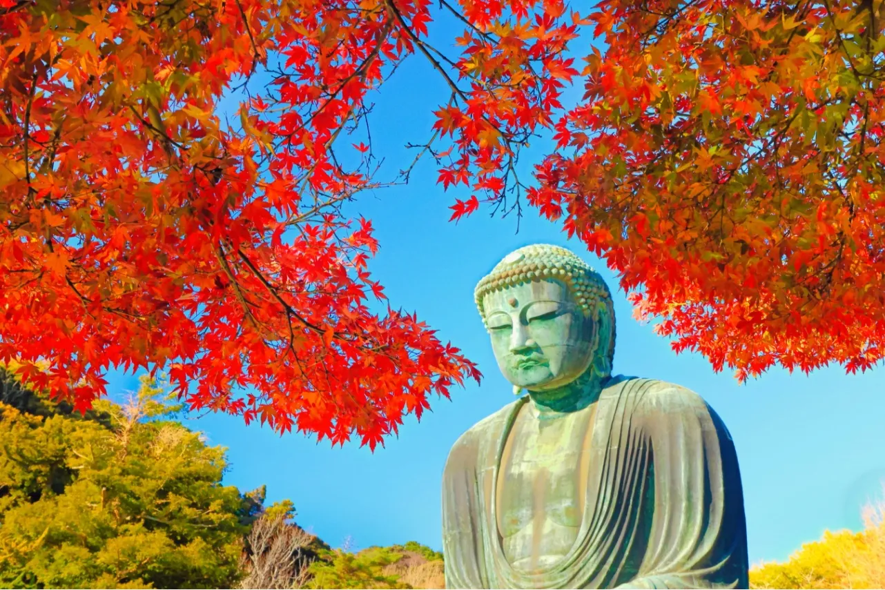 【2026】鎌倉「紅葉」の名所8選！見ごろやライトアップ情報も紹介_4116196