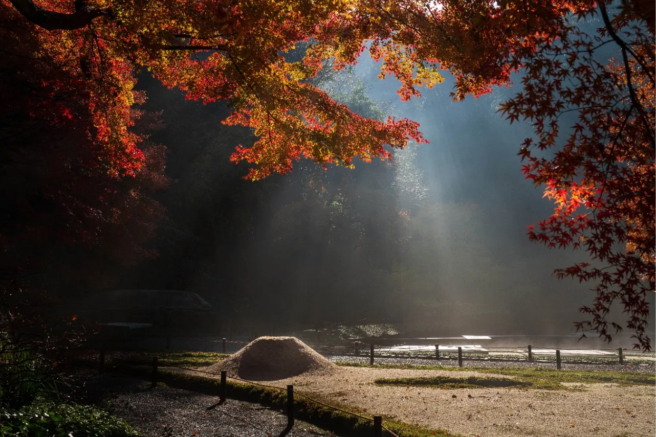 ▲明月院 紅葉（写真提供：鎌倉市観光協会）