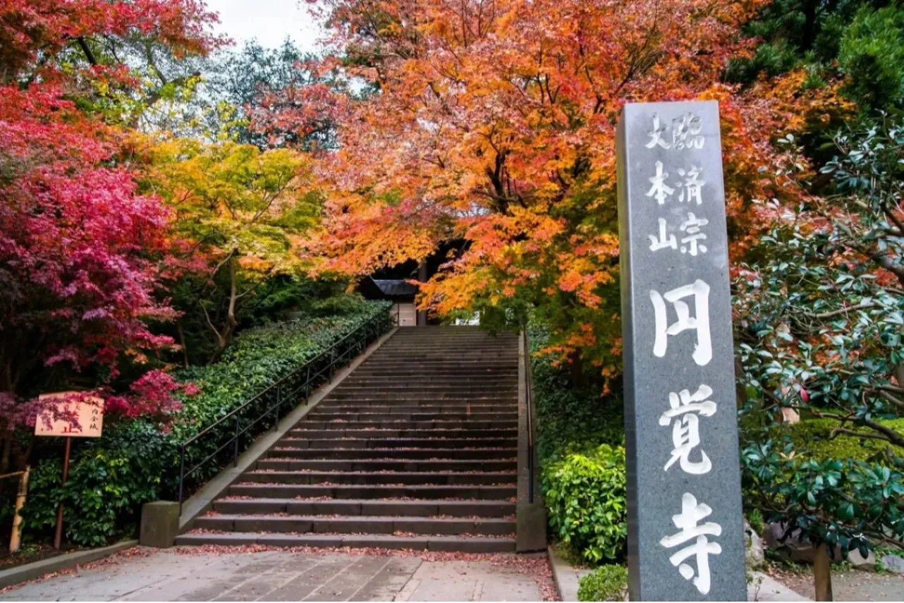 【2026】鎌倉「紅葉」の名所8選！見ごろやライトアップ情報も紹介_4116200