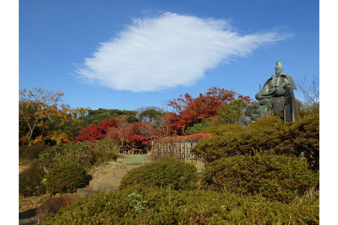 ▲(C)（公財）鎌倉市公園協会